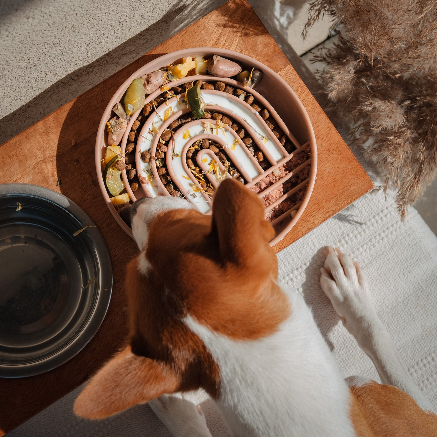 Rainbow Slow feeder bowl