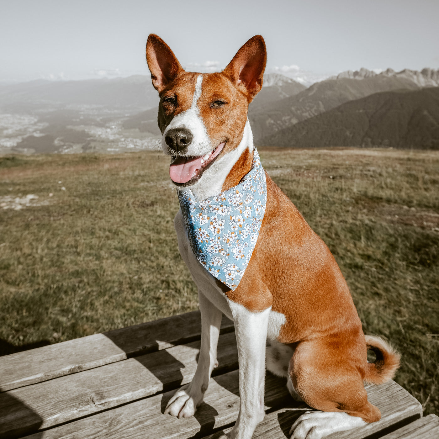 DAISY BLOOM Bandana