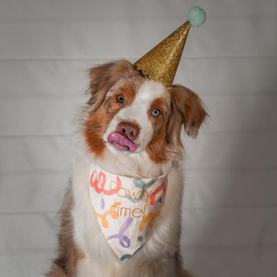 CONFETTI Bandana