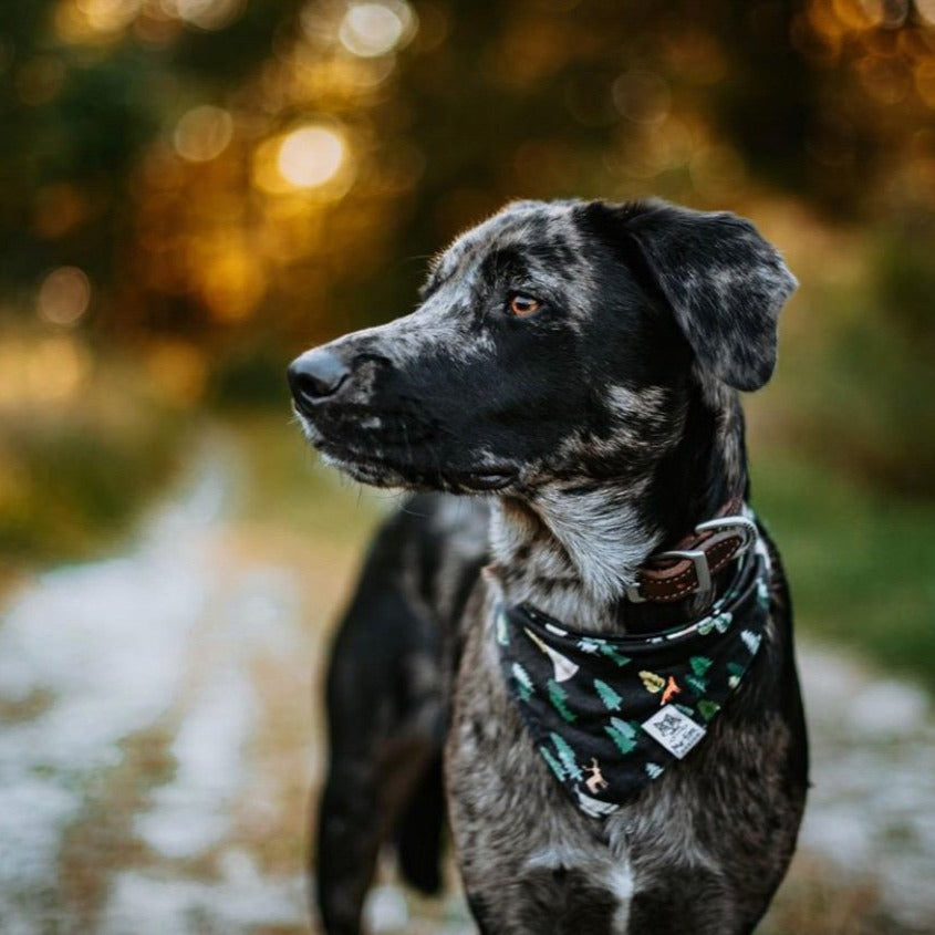 INTO THE WILD Bandana