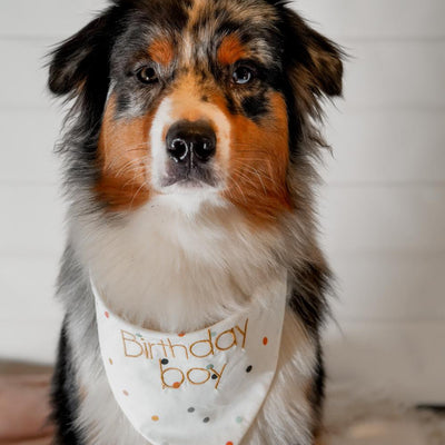 SPARKLE Bandana