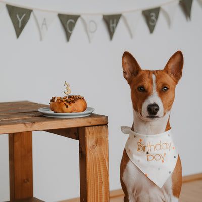 SPARKLE Bandana