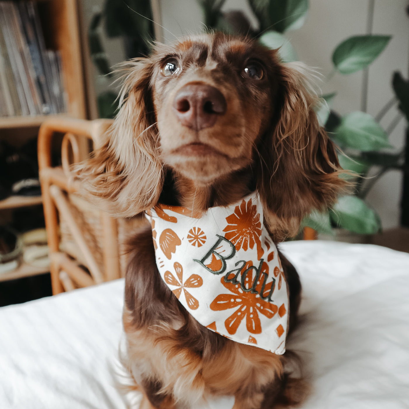 BOHO PAWS Bandana