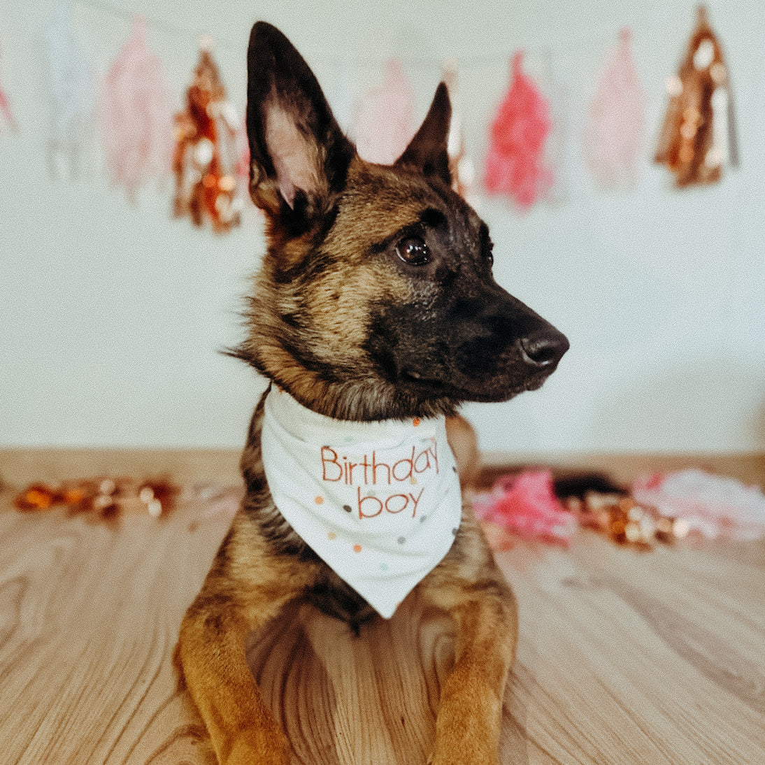 SPARKLE Bandana