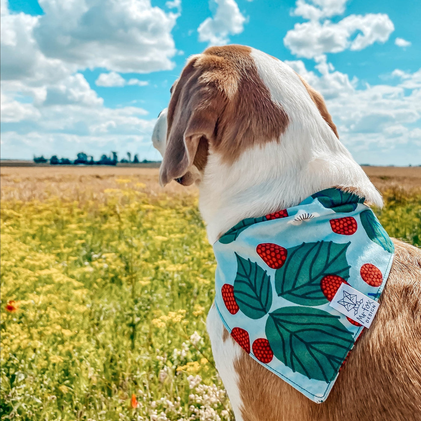 STRAWBERRY JAM Bandana