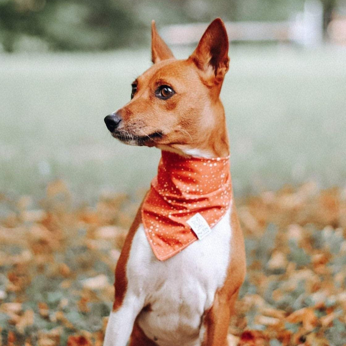 STARDUST Bandana