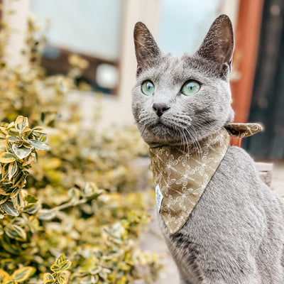 DRAGONFLY GRACE Bandana